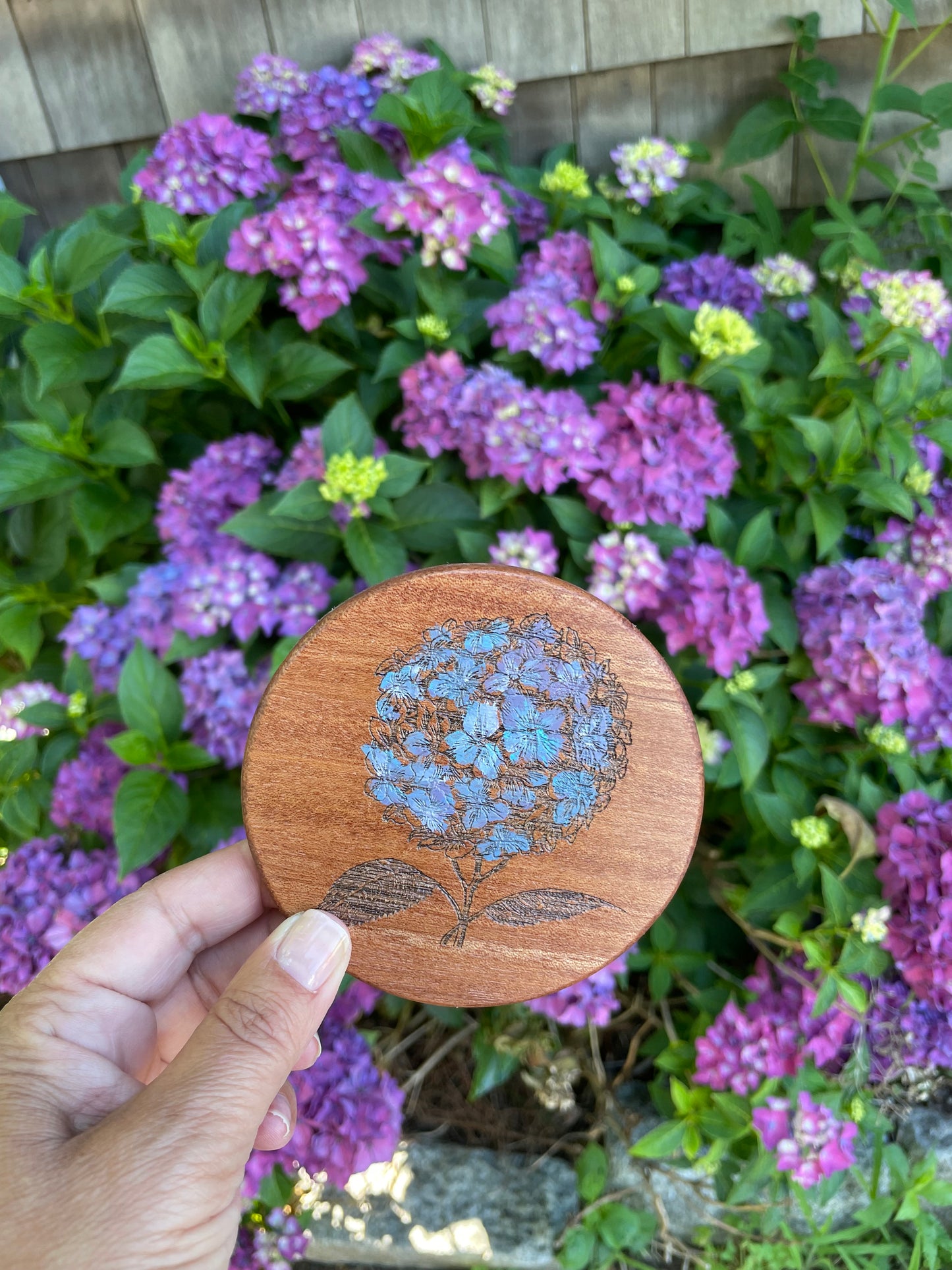 Home: Coasters Hand Painted Mahogany of Hydrangea