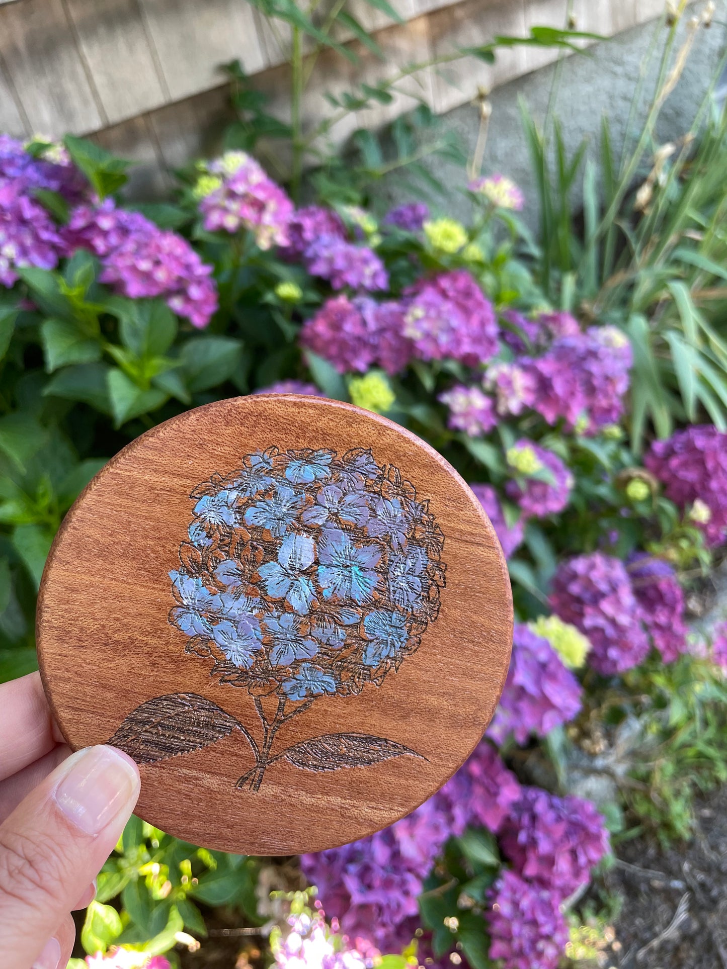 Home: Coasters Hand Painted Mahogany of Hydrangea