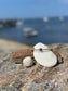 Whisper Cape Cod - Bangle Bracelet (Tan)