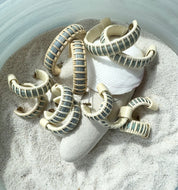 Seasons Earrings - Medium Hoop