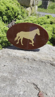 Hitch Cover - Sports - Horse