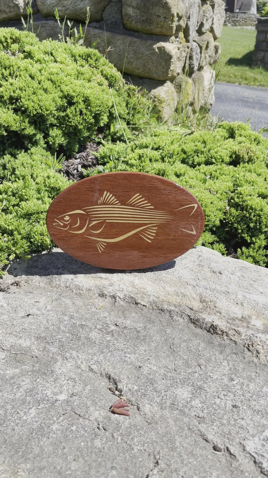 Hitch Cover - Fish - CH Striped Bass