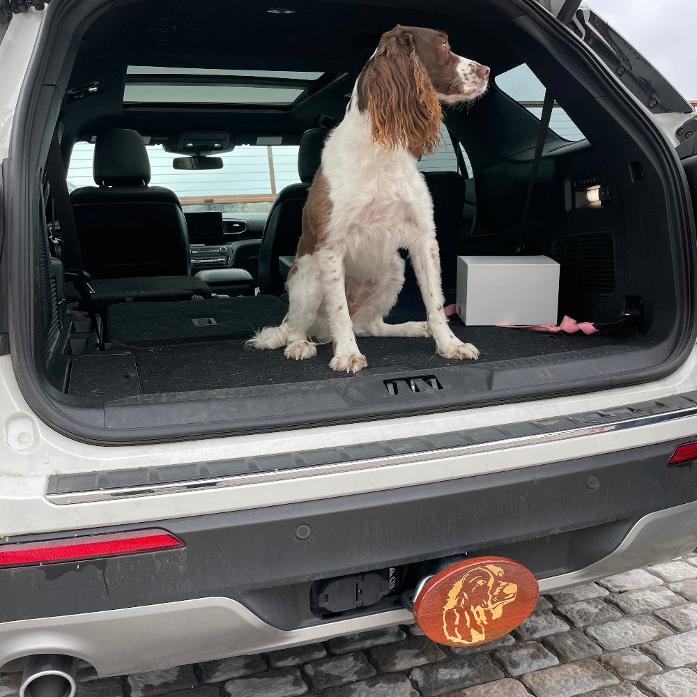 A hitch cover with a custom design of a dog's face, placed on the rear of a vehicle with an open trunk.