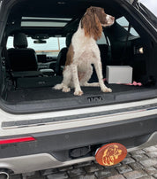 Hitch Cover - Custom Personal