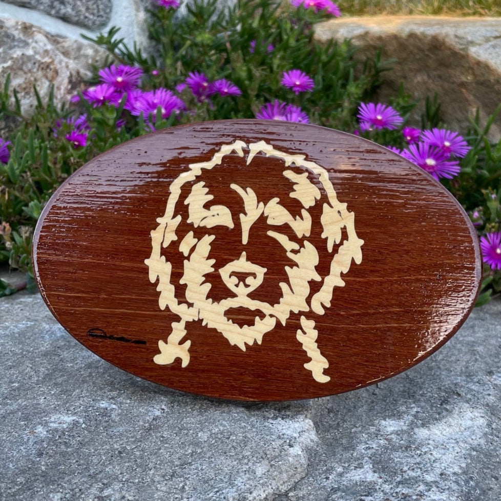 Hitch Cover - Dogs - Labradoodle