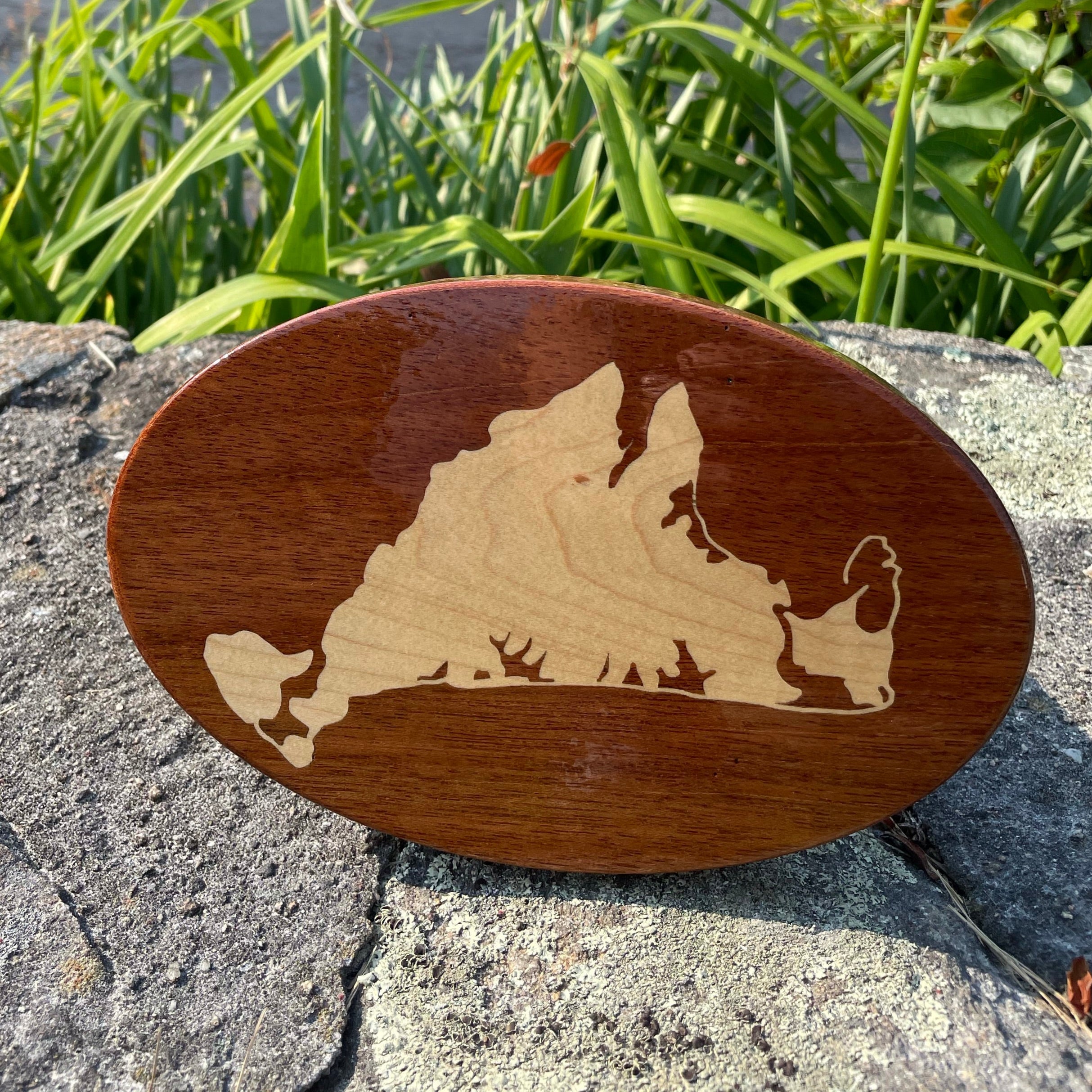 Hitch_Cover_-_Martha_s_Vineyard_outline.jpg