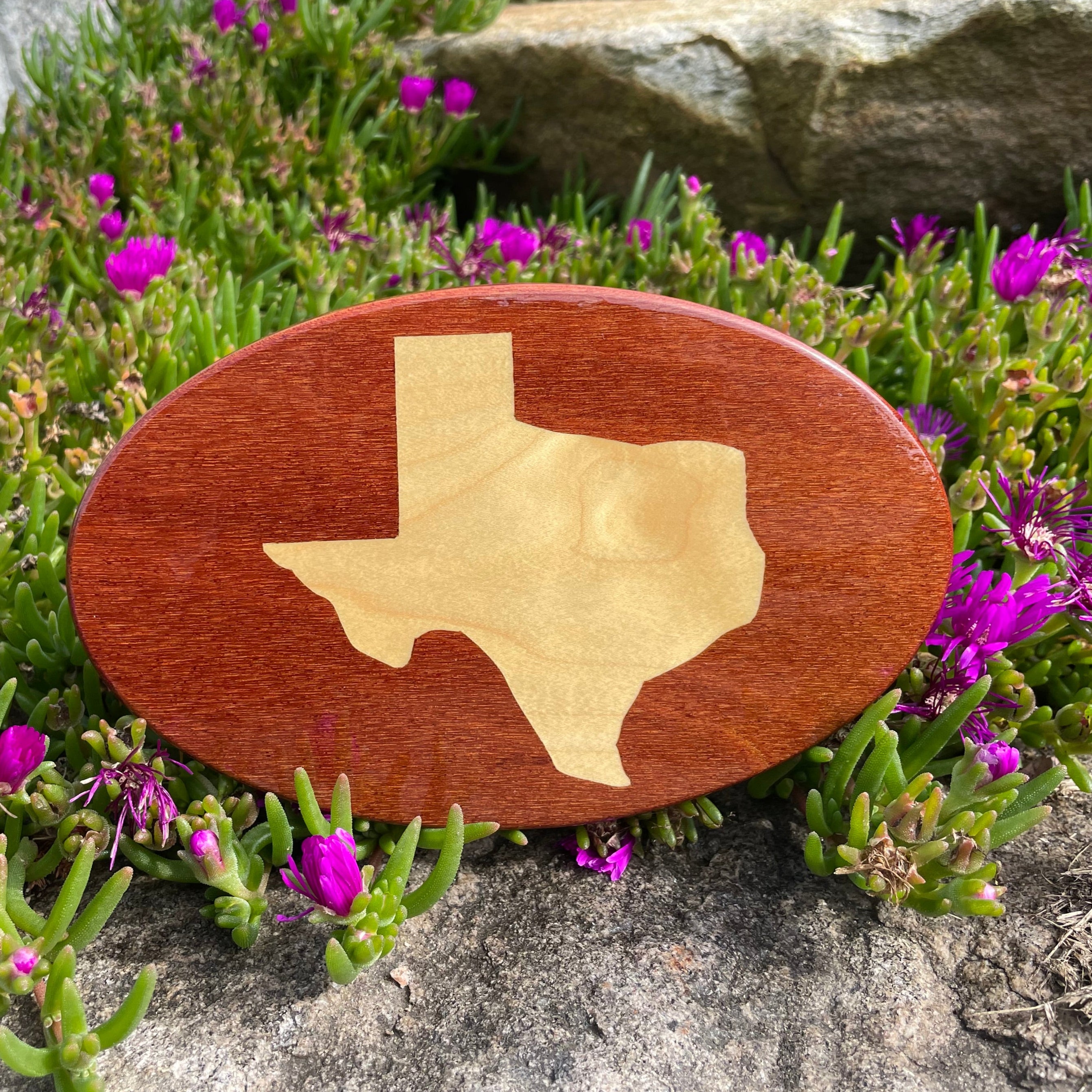 Hitch_Cover_-_Texas_Outline.jpg