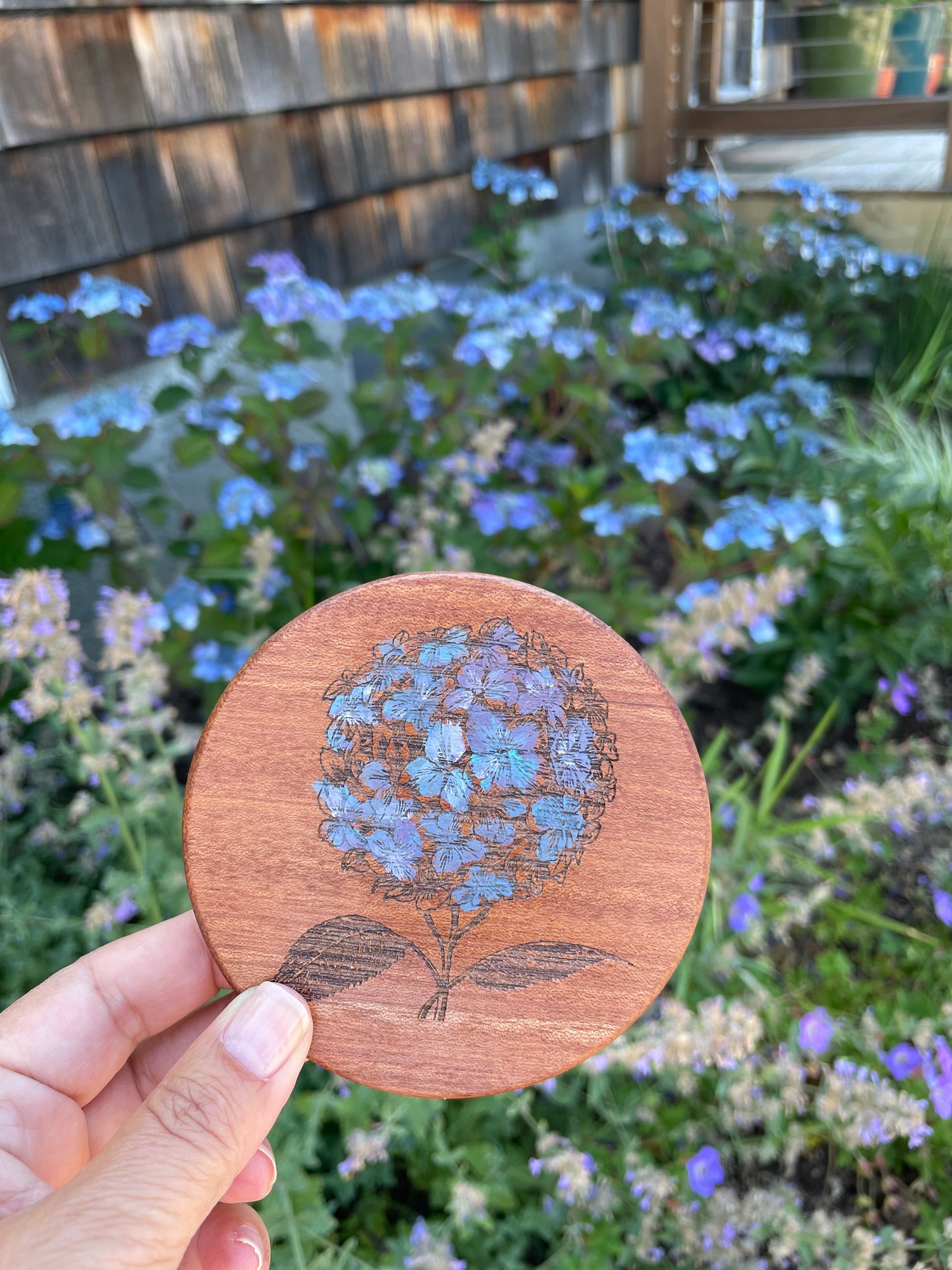 Home:  Coasters Hand Painted Mahogany of Hydrangea