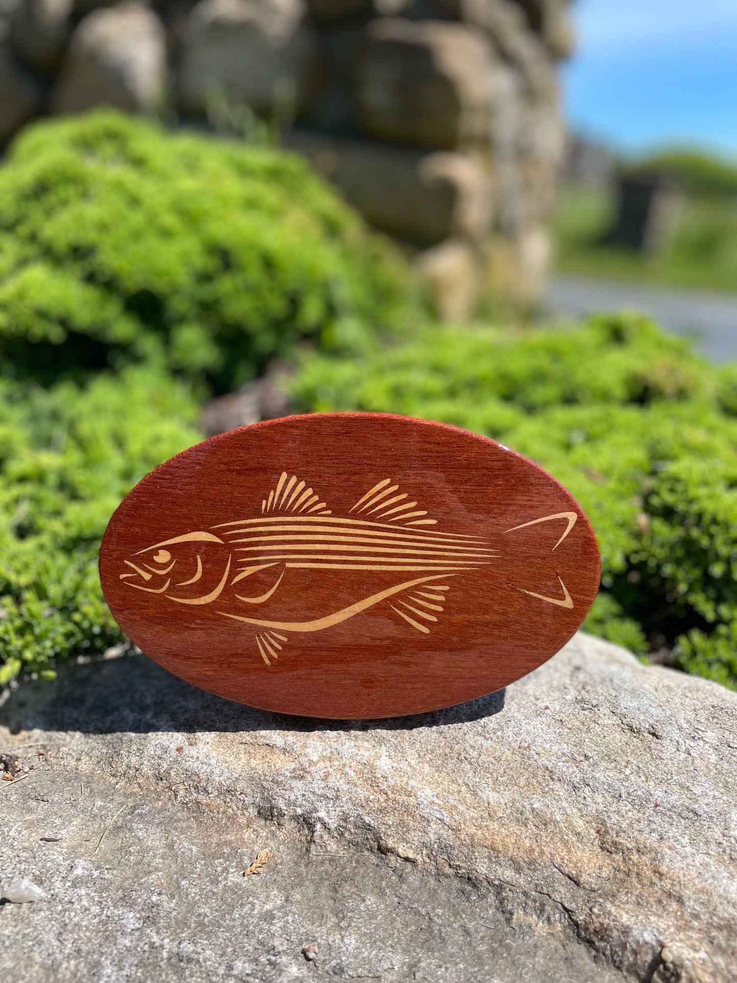 Hitch Cover - Fish - CH Striped Bass