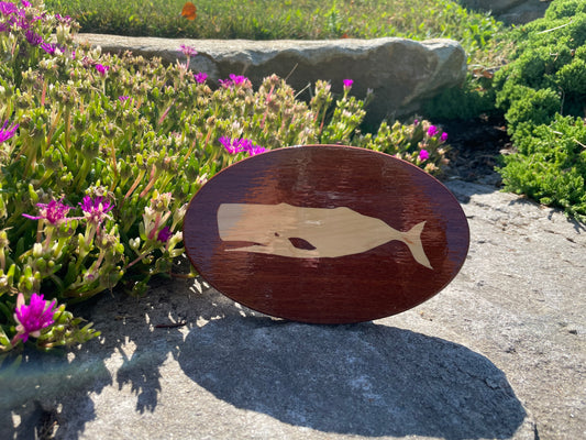 Hitch Cover - Fish - Whale
