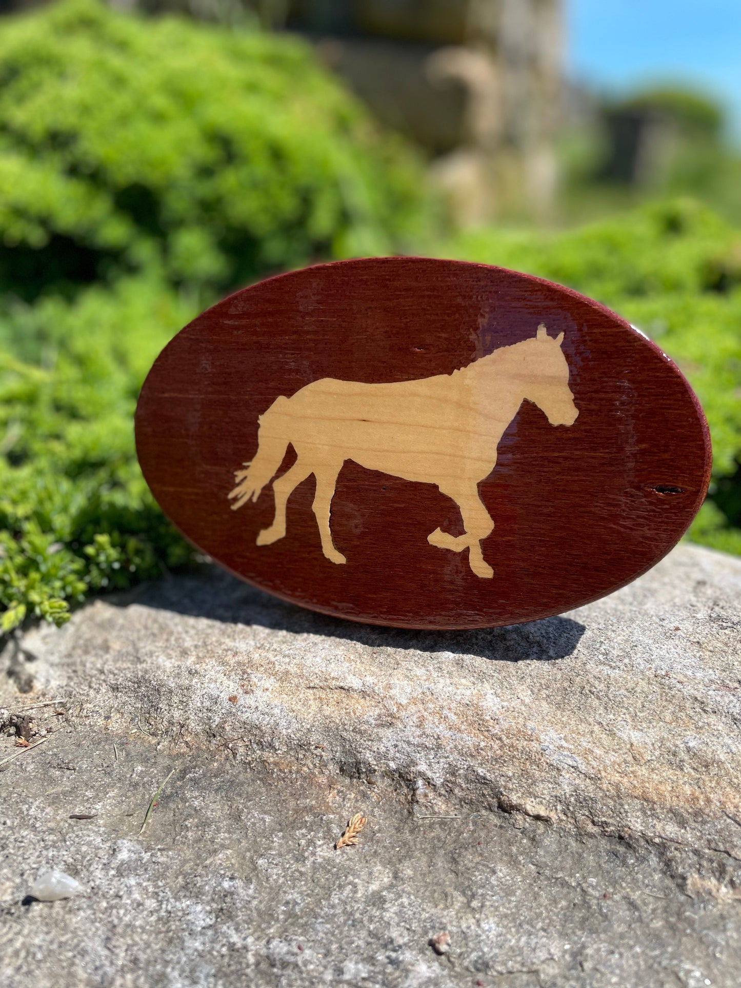 Hitch Cover - Sports - Horse