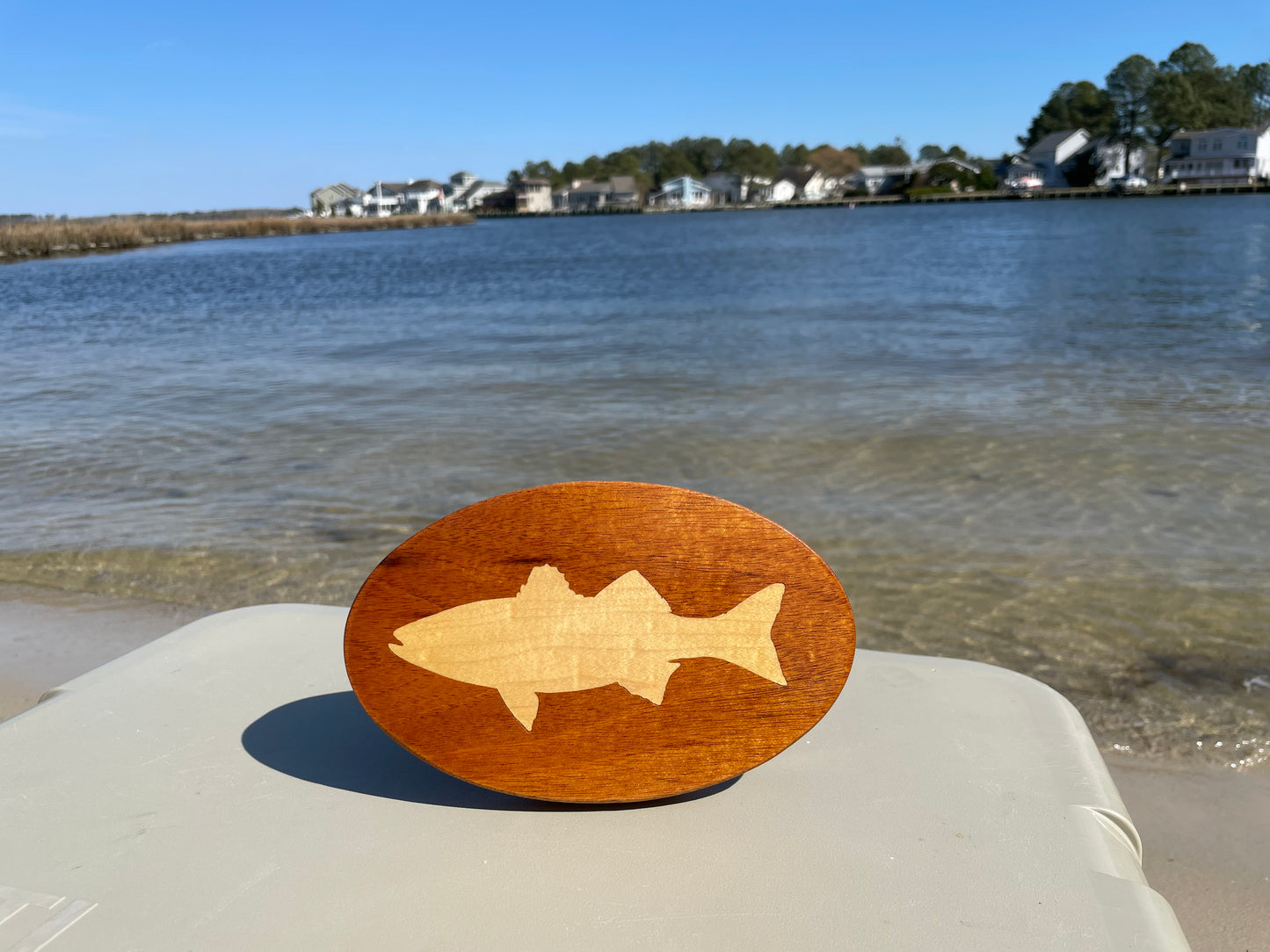 Hitch Cover - Fish - Striped Bass